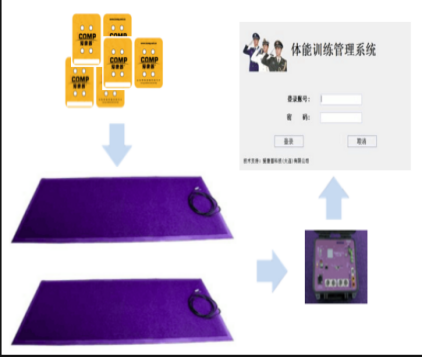 體能訓(xùn)練拓展系統(tǒng)